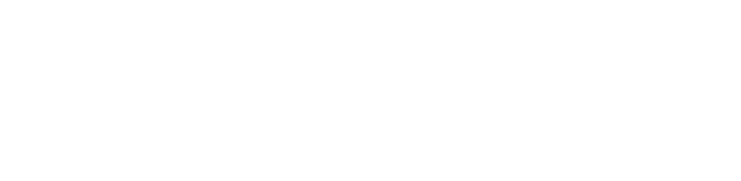 Connect System
